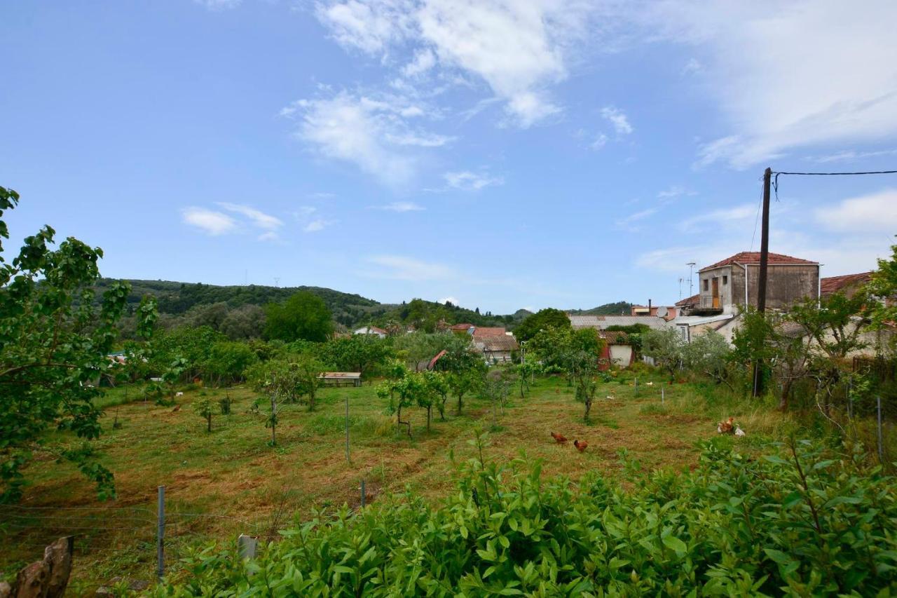Balukas House Vila Dragotina Exterior foto